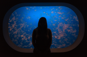 Aquariums d'Aquashow